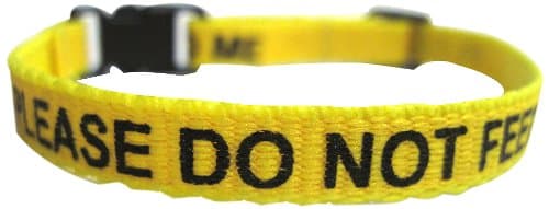 Please Do Not Feed Me Collar Yellow