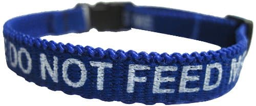 Please Do Not Feed Me Collar Blue