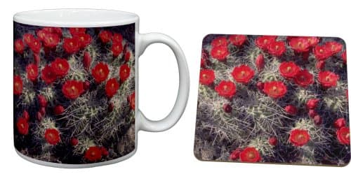 Red Flower Cactus Mug and Table Coaster, Ref:FL-2MC