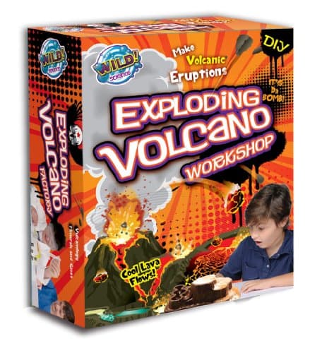 Wild Science Exploding Volcano Workshop
