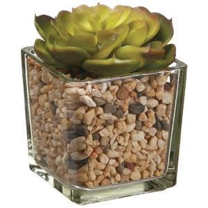 4" Echeveria Artificial Plan