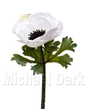 36cm Artificial Anemone - White