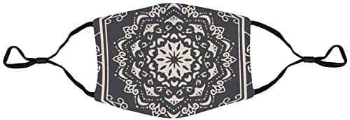 Promini Comfortable Polyester Face Mask With Filter Element Washable And Reusable Decorative Pattern Color Anti Dust Mask Mouth Mask Protective Mask for Adults And Teens