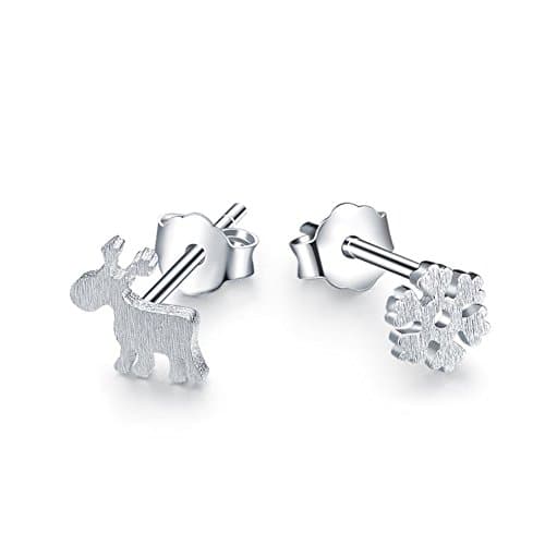 ER1210108C1 Explosion Models Silver Plating Women's Earring