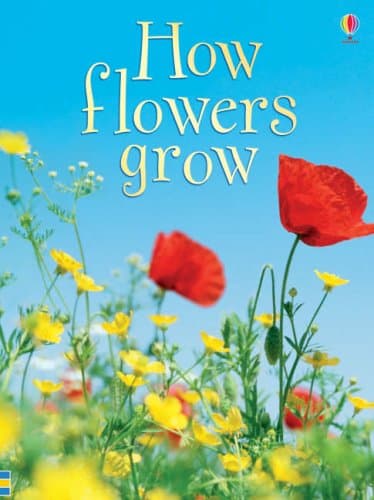 How Flowers Grow: 1 (Beginners)