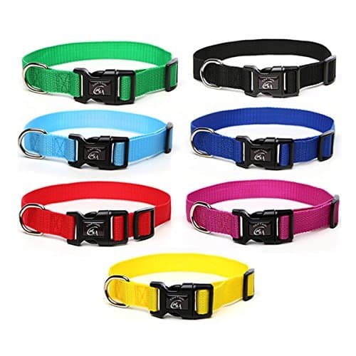 Dog Collars for Medium Dogs Female by Glow Castle Basic Pet Collar Lead Harness for Dog(Purple)