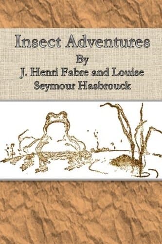 Insect Adventures By