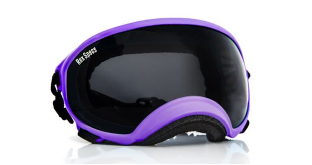 Rex Specsª Dog Goggles