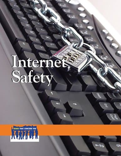 Internet Safety (Issues That Concern You)