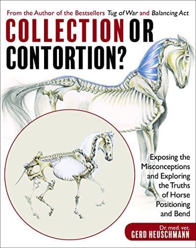 Collection or Contortion?: Exposing the Misconceptions and Exploring the Truths of Horse Positioning and Bend