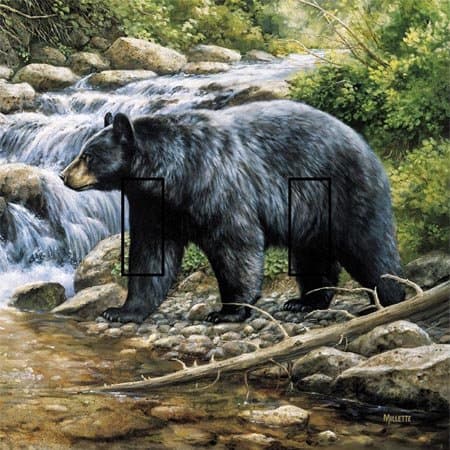 Black Bear 1A Double Toggle SwitchStix Peel and Stick Switch Plate Cover Décor