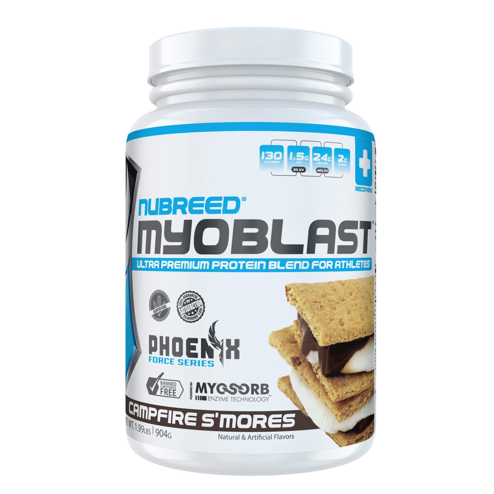Myoblast