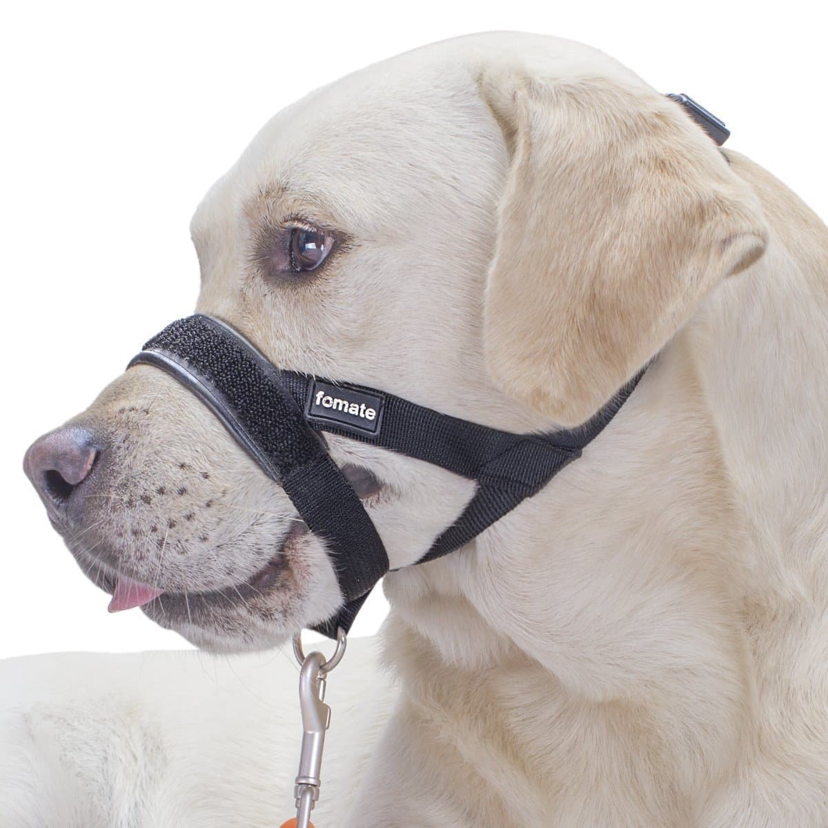 FOMATE Dog Muzzle loop, Quick fit anti-bitting stop pulling walk heel perfect follow head collar