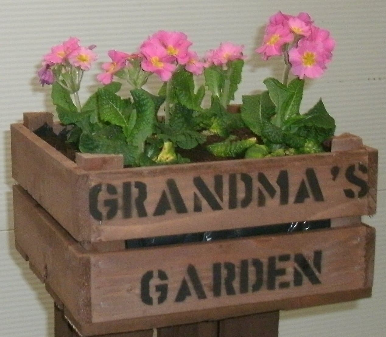 Personalised Square Apple Crate HERB Planter