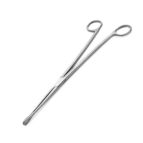 Imported Ovum Forceps Size:10"