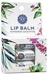 Lip Balm Set: All-Natural Shea Butter, Beeswax, Coconut Oil, Vitamin E Infused Lip Moisturizer Care (3 Pack, Peppermint Eucalyptus)