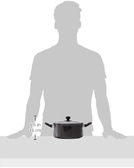 Futura Nonstick Stewpot 3L with SS lid and Induction Compatible Base