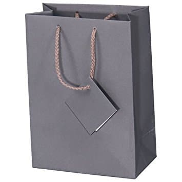 10 Pack Large Gray Matte Finish Solid Shopping Paper Gift Sales Tote Bags with Blank Message Tag 8" x 5" x 10" Inches- By R J Displays