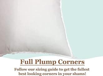 Pillowflex Pillow Form Insert - Machine Washable (28 Inch By 28 Inch) by Pillowflex