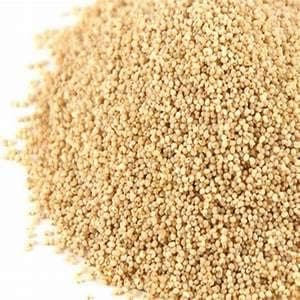 TEMPERADO Poppy Seed | KHUS KHUS (900)