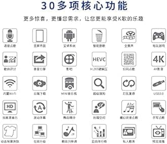 Professional Home Entertainment Karaoke Machine, InAndOn KV-V5 Max Karaoke System,YouTube Movie Song WiFi Cloud Download Fit for Home Party KTV Bar DJ