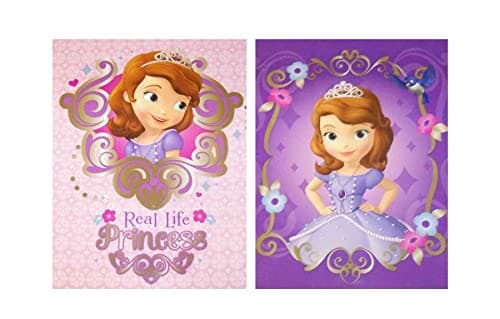 Disney Sofia the First Folder 2 Pack ~ Real Life Princess, Princess From Within