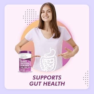 HealthyHey Nutrition Plant Protein Powder, Protein, Low Net Carbs, Non Dairy, Gluten Free, Lactose Free, No Sugar Added, Soy Free, Non-GMO - 500gm (Mocha Coffee)