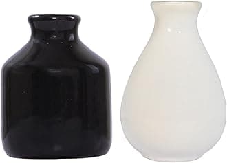 Ceramic Reed Diffuser Pot I Ceramic Aroma Pot Reed Diffuser Set of 2 (White & Black)