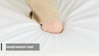 AAAAAcessories D-Shaped Chair Cushions, 2" Thick Dining Chair Pads with Ties and Removable, Machine-Washable Cover, 17" x 16", Set of 4, Pear Green