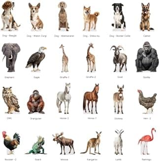 CAT - British Shorthair - Life Size Cardboard Cutout Standup People with Support Standee | Animals -