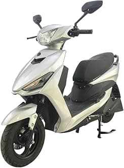 EXER G80 Electric Scooter, 60V 30AH Graphene Ion Battery, 250W BLDC Motor, 25 KMPH Top Speed, 80-100 KM Range, Hydraulic Suspension, Alloy Wheels (Silver)