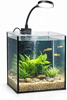 - LYPHARD AQUARIUMS Mini Aquarium Set Fish Tank Shrimp Tank Snails Tank Planted Tank 1.2 Gallon Aquarium Kit, Small Desktop Fish Tank for Small Aquatic Pets for Beginner