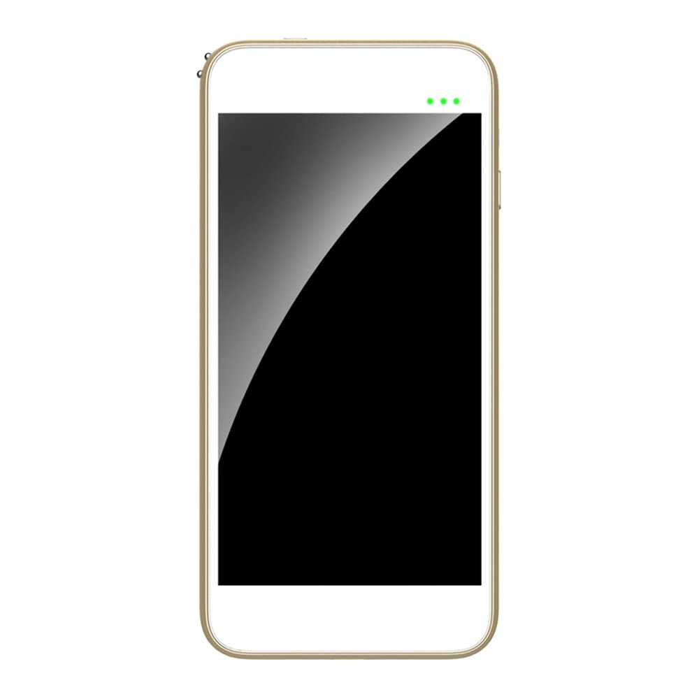 DARL 4-in-1 Multi-Function Portable Smart Skin Moisture Analyzer,Face Skin Care,IR Thermometer,HD Cosmetic Mirror and 2750 mAh Power Bank for iPhone/iPad - Golden