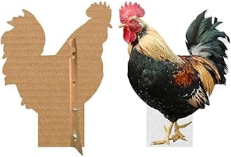 Rooster - Life Size Cardboard Cutout Standup People with Support Standee | Animals -2