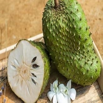 20pieces Green Soursop Fruit Seeds
