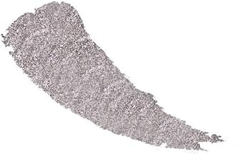 Shopaarel Photoready Eye Glitter Shimmer and Shine Finely Pressed and Highly Pigmented Eye Shadow Colors Shimmery Finish (03)