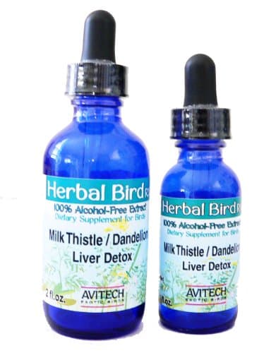 Echinacea Purpurea root