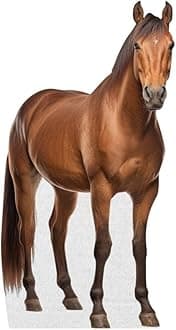 Horse - Life Size Cardboard Cutout Standup People with Support Standee | Animals -1