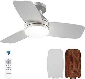 Amico Ceiling Fans with Lights, 30 Inch Low Profile Ceiling Fan with Light and Remote Control, Flush Mount, Reversible, 3CCT, Dimmable, Noiseless, Silver Ceiling Fan for Bedroom, Indoor/Outdoor Use