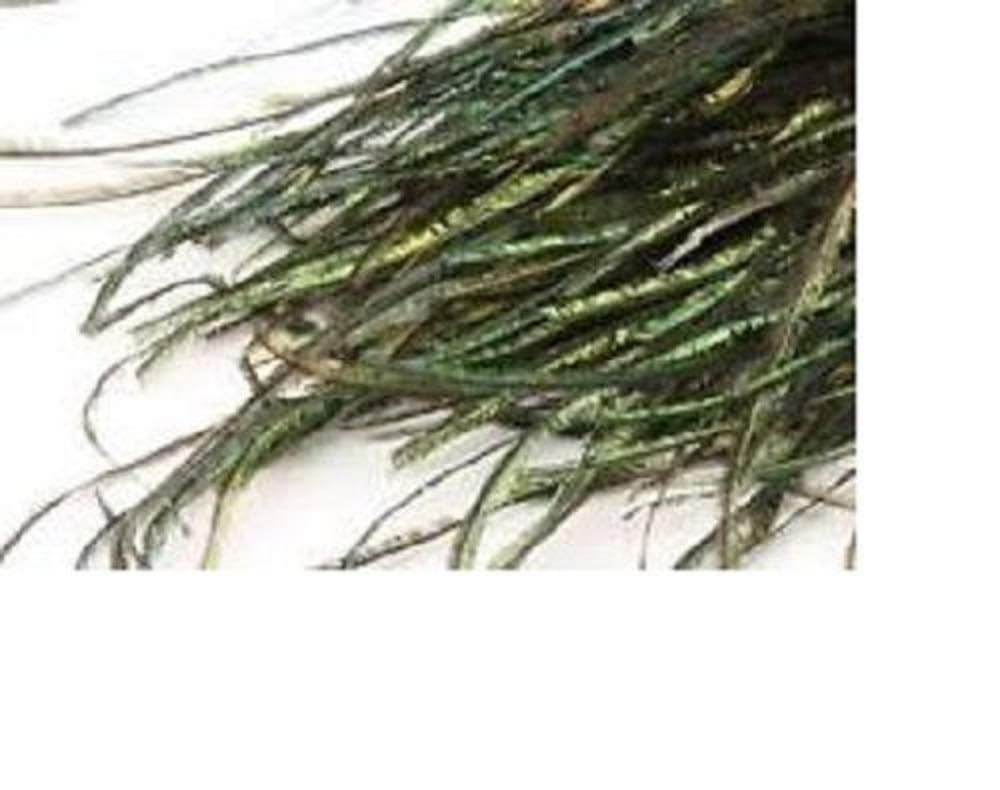 Gordon Griffiths Peacock Herl