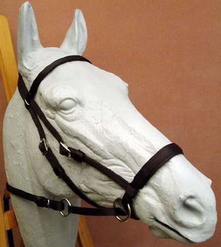 Dr. Robert Cook Bitless Bridle Nylon Headstall