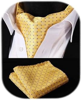 HISDERN Ascot Ties for Men Paisley Cravat Tie and Pocket Square Set Floral Mens Ascot Scarf Handkerchief Wedding Party