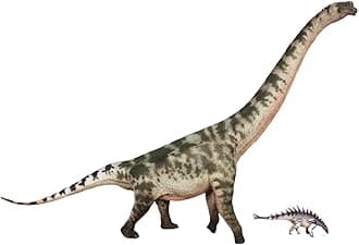 XINPANYIAN HAOLONGGOOD Brachiosaurus Prehistoric Animal Dinosaur Model with Huayangosaurus Figure (Color B)
