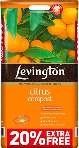 Levington Citrus Compost