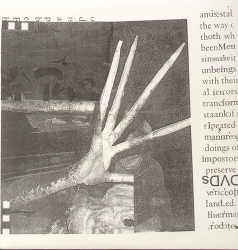 Hermaphrodite [Vinyl]