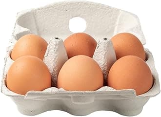 Free-Range Eggs – 48 Pack | Large Fresh Eggs from Free-Roaming Hens | Golden Yolks & High-Quality Protein | Ideal for Baking, Breakfast, Meal Prep & Catering
