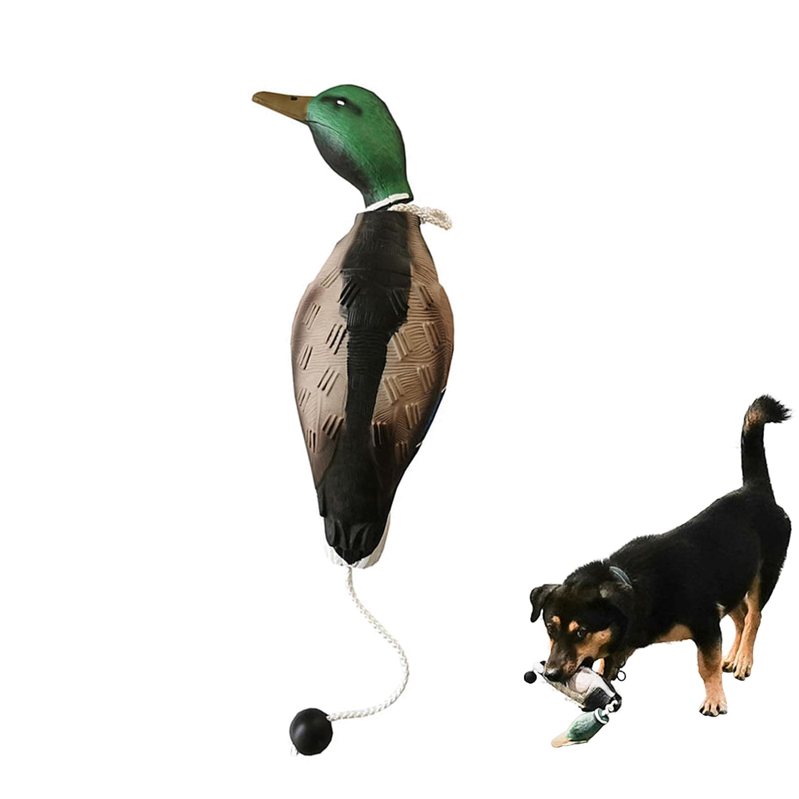 Dog Training Duck Dummy- EVA Material Trainer with Throwing Toggle, Dog Retrieval Training Toys Bird Dummy Mallard Mimics Duck Bumper Toy for Puppies or Adult Hunting Dogs