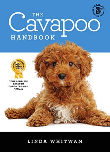 The Cavapoo Handbook: The Essential Guide for New & Prospective Cavapoo Owners (Canine Handbooks Book 14)