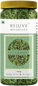 Rejuve Naturelles Premium Spearmint Tea | Freshly Packed And Natural Herbal Tea For Pcos,Pcod | Caffeine-Free | Premium Pet Jar (50 Gram Loose Leaves)