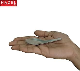 HAZEL Mini Stainless Steel Masala Spoon Set of 12 | Small Spoons for Spice Containers & Jars | Steel Spoon for Masala, Condiments, Kids Use